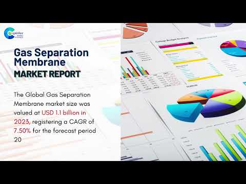 Gas Separation Membrane Market Report 2024 (Global Edition)